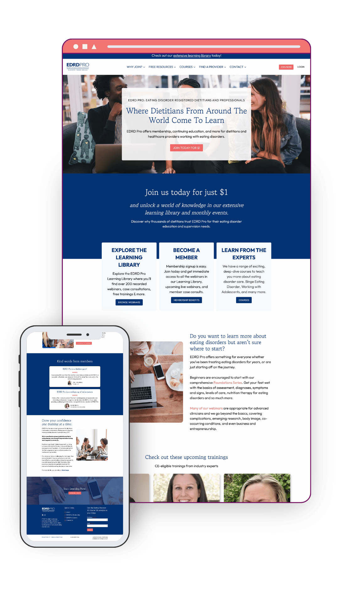 edrd pro website project