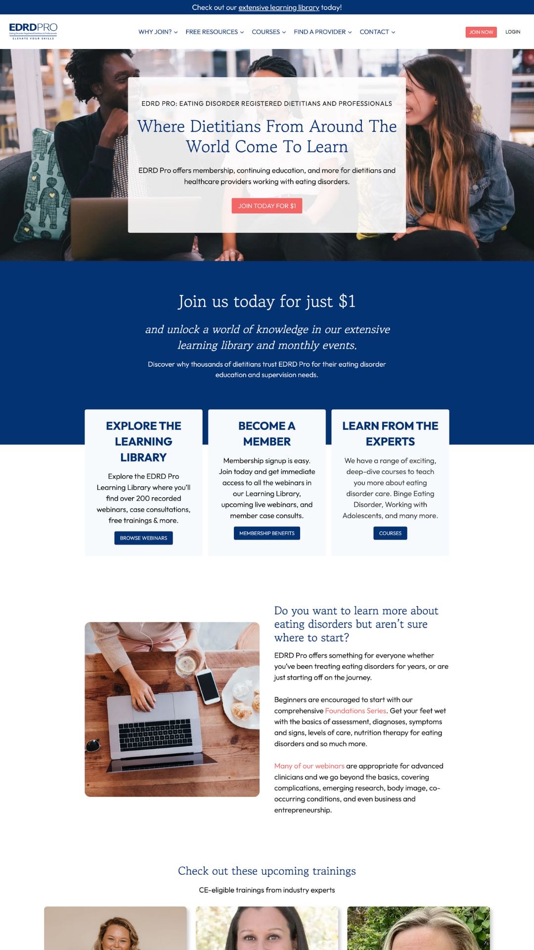 edrd pro website designer